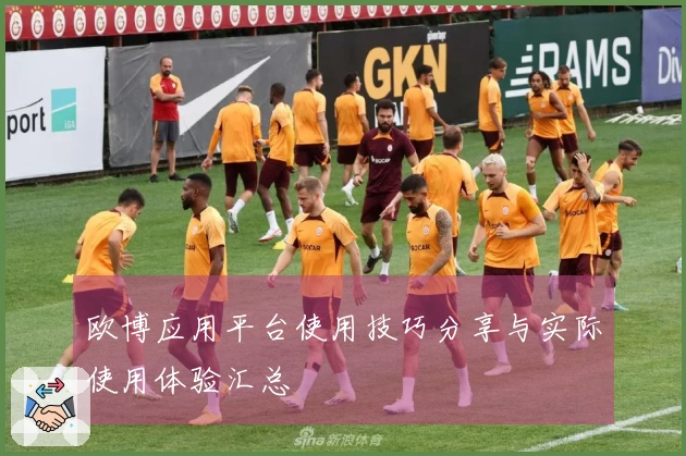 欧博应用平台使用技巧分享与实际使用体验汇总