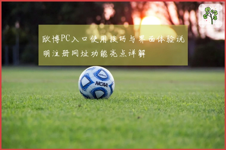 欧博PC入口使用技巧与界面体验说明注册网址功能亮点详解