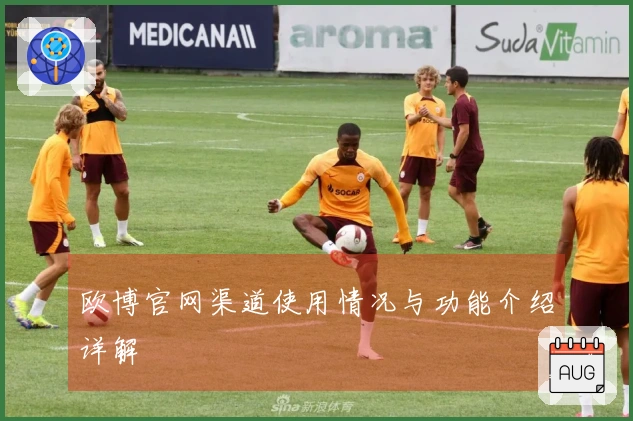 欧博官网渠道使用情况与功能介绍详解