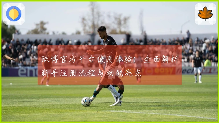 欧博官方平台使用体验：全面解析新手注册流程与功能亮点