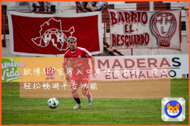 欧博APP官方入口及使用教程，带你轻松畅游平台功能