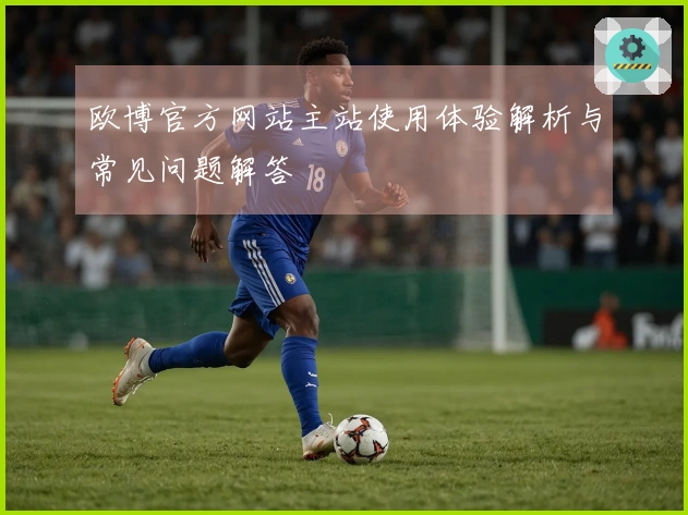 欧博官方网站主站使用体验解析与常见问题解答