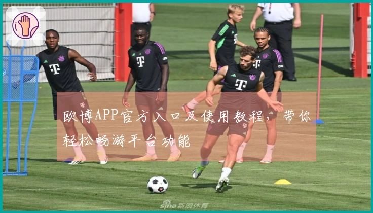 欧博APP官方入口及使用教程，带你轻松畅游平台功能